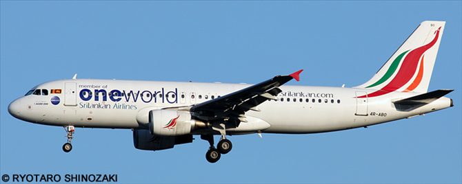 Sri Lankan Airlines, Oneworld Various Airlines Airbus A320 Decal