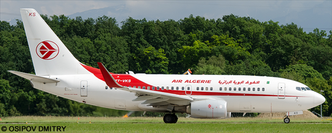 Air Algerie -Boeing 737-700 Decal