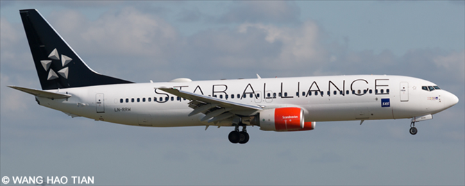 SAS Scandinavian Airlines, Star Alliance Various Airlines Boeing 737-800 Decal