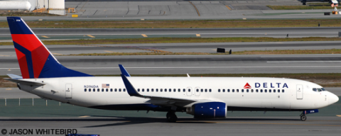 Delta Airlines --Boeing 737-800 Decal
