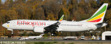 Ethiopian Airlines -Boeing 737-8 MAX Decal